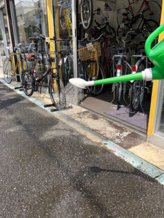 夏の日の打ち水